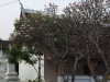 asien-2013-03-15-17-29-36