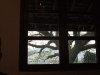 asien-2013-03-15-17-47-55