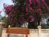 asien-2013-03-16-09-10-30