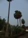 asien-2013-03-16-09-25-25