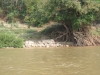 asien-2013-03-15-09-38-45