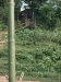asien-2013-03-15-10-45-41