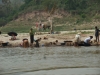 asien-2013-03-15-11-17-36