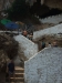 asien-2013-03-15-11-24-04