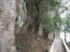 asien-2013-03-15-11-38-33