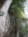 asien-2013-03-15-11-38-39