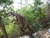 asien-2013-03-15-11-53-27