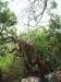 asien-2013-03-15-11-53-34