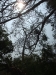 asien-2013-03-15-11-53-40