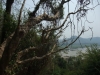 asien-2013-03-15-11-54-53