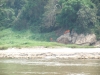 asien-2013-03-15-13-20-20
