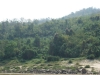 asien-2013-03-13-11-12-16