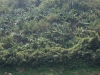 asien-2013-03-13-11-21-22