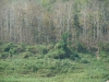 asien-2013-03-13-13-37-23