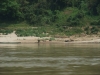 asien-2013-03-13-13-39-08