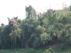 asien-2013-03-13-13-42-24