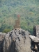 asien-2013-03-13-14-05-44