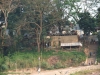 asien-2013-03-13-16-39-37