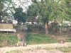 asien-2013-03-13-16-39-41