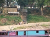 asien-2013-03-13-16-39-45