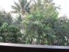 asien-2013-03-13-17-44-43