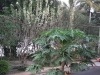 asien-2013-03-13-17-45-03
