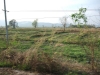 asien-2013-03-11-16-55-02