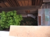 asien-2013-03-11-18-34-06