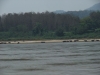 asien-2013-03-12-12-22-30