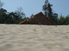 asien-2013-03-12-15-36-10
