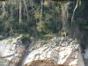 asien-2013-03-12-16-15-20