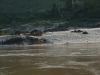 asien-2013-03-12-16-53-30