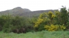 Schottland - 2015-06-02_10-11-07