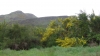 Schottland - 2015-06-02_10-11-23