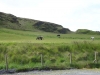 Schottland - 2015-06-13_12-27-15