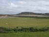 Schottland - 2015-06-13_12-27-52