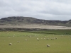 Schottland - 2015-06-13_12-27-59