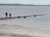 Schottland - 2015-06-13_13-37-29