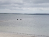 Schottland - 2015-06-13_13-37-59