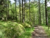 Schottland - 2015-06-09_10-35-45