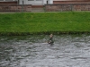 Schottland - 2015-06-04_17-56-19