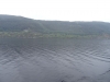 Schottland - 2015-06-05_11-14-47