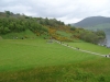 Schottland - 2015-06-05_11-58-23