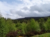 Schottland - 2015-06-05_13-44-49