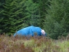 Schottland - 2015-06-05_14-12-52