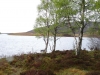 Schottland - 2015-06-05_15-14-55