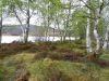 Schottland - 2015-06-05_15-15-04
