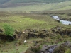Schottland - 2015-06-06_17-27-24