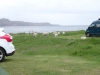 Schottland - 2015-06-06_19-27-02