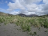 Schottland - 2015-06-07_11-11-29